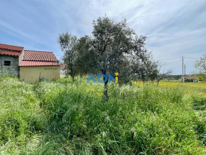 Quinta para Venda em Santo Andre das Tojeiras Foto 7