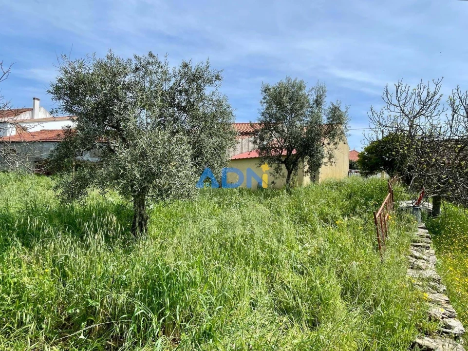 Quinta para Venda em Santo Andre das Tojeiras Foto 10