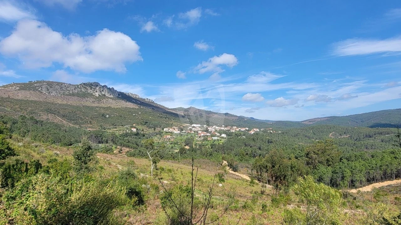 Terreno para Venda em Sarnadas de São Simão Foto 25