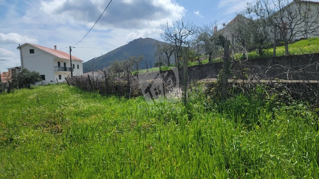 Terreno para Venda em Sarnadas de São Simão Foto 23