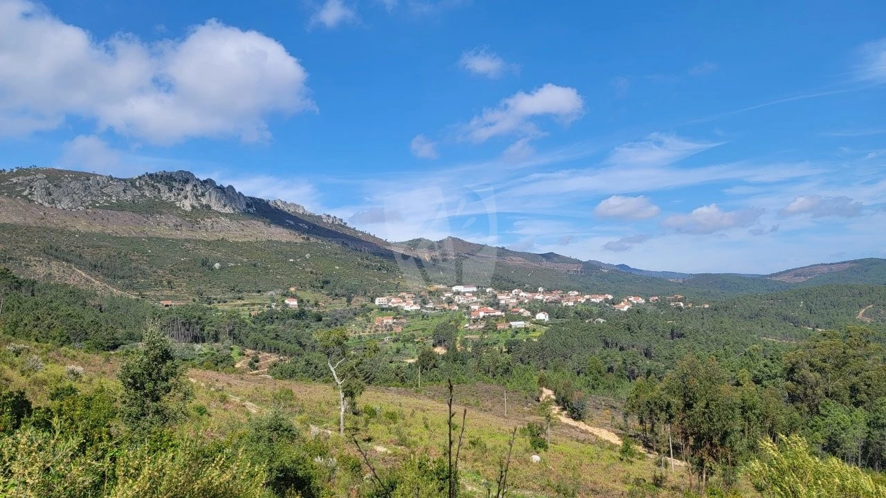 Terreno para Venda em Sarnadas de São Simão Foto 2