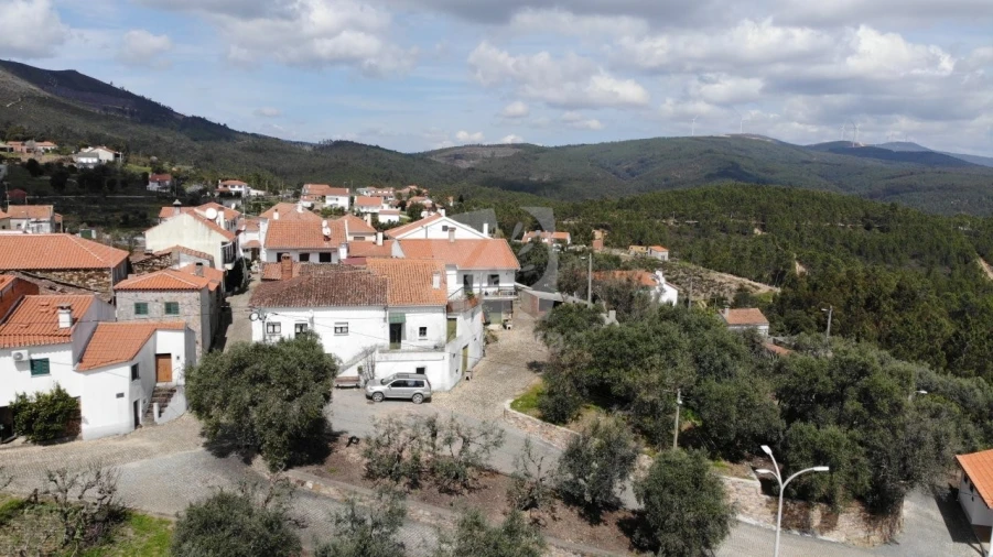 Terreno para Venda em Sarnadas de São Simão Foto 27