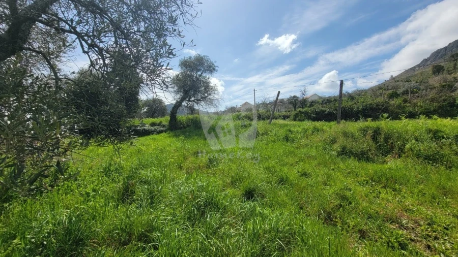 Terreno para Venda em Sarnadas de São Simão Foto 18