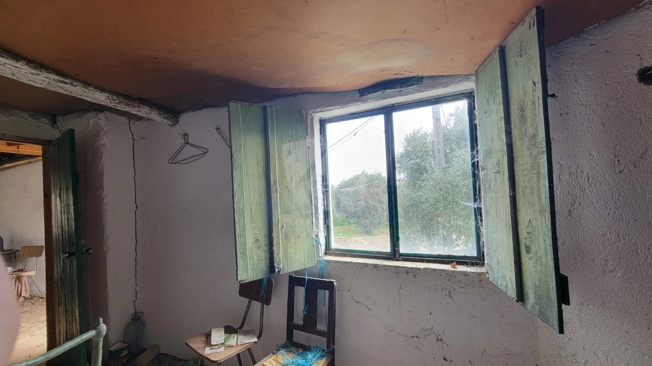 Terreno para Venda em Sarnadas de São Simão Foto 10