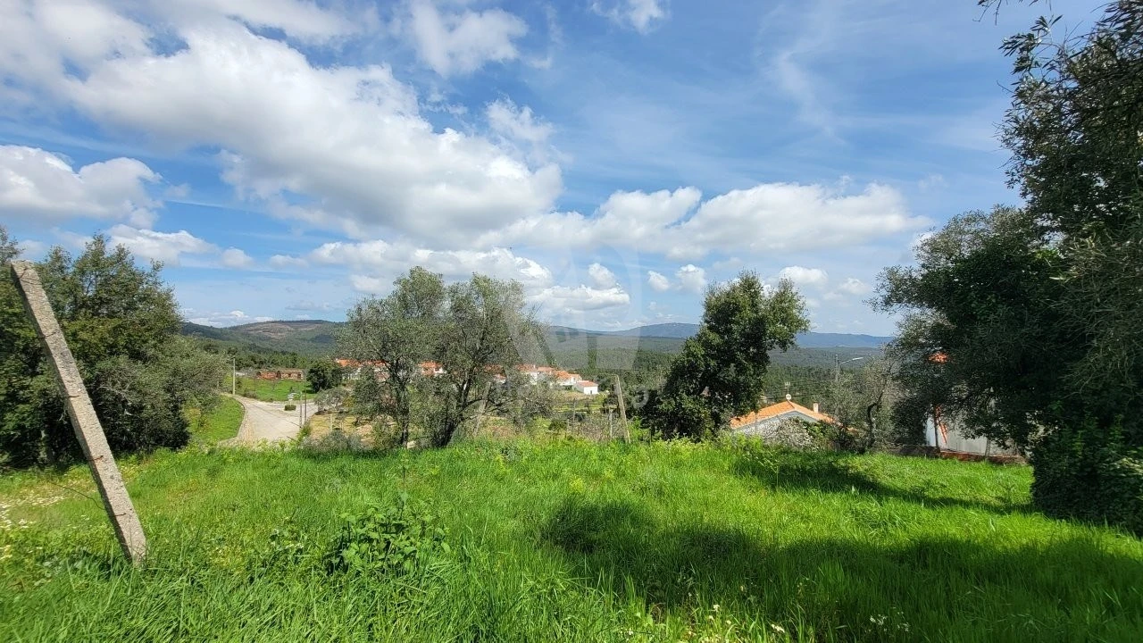 Terreno para Venda em Sarnadas de São Simão Foto 20