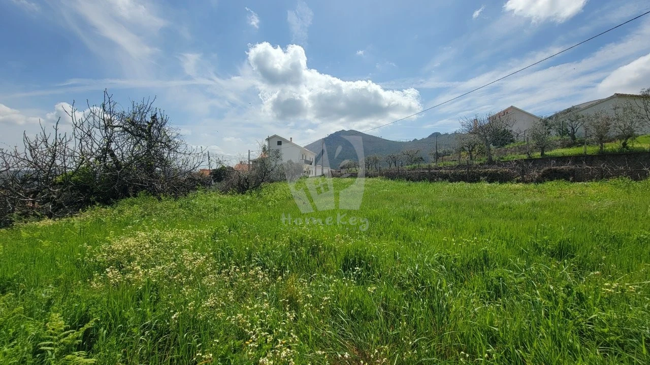 Terreno para Venda em Sarnadas de São Simão Foto 21