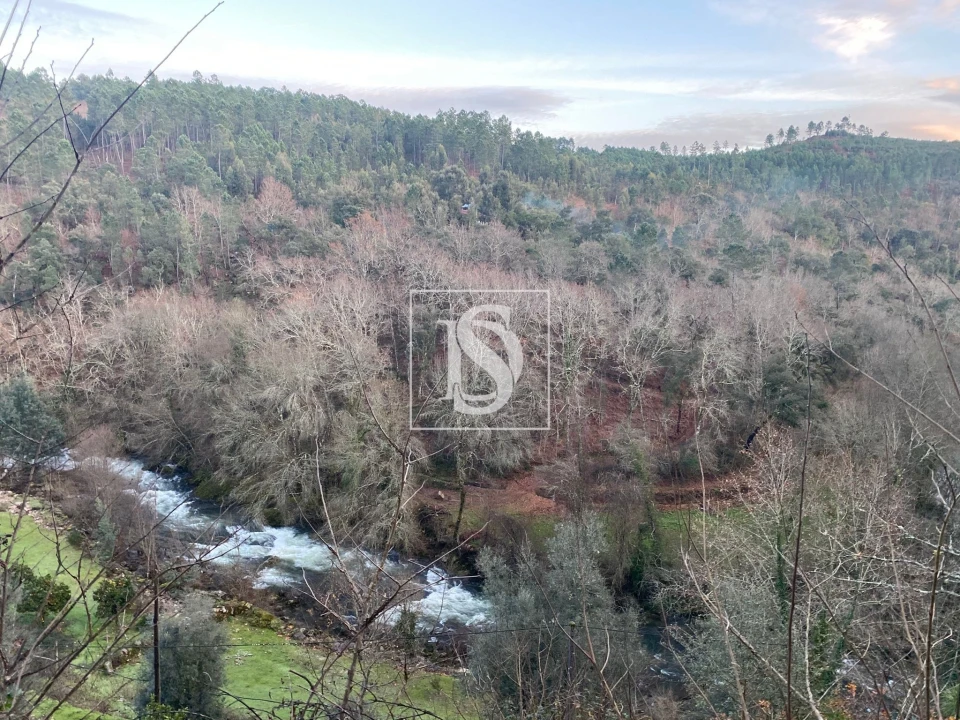 Quinta T4 para Venda em Cabeceiras de Basto Foto 5