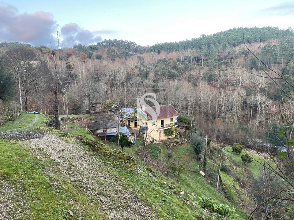 Quinta T4 para Venda em Cabeceiras de Basto Foto 23