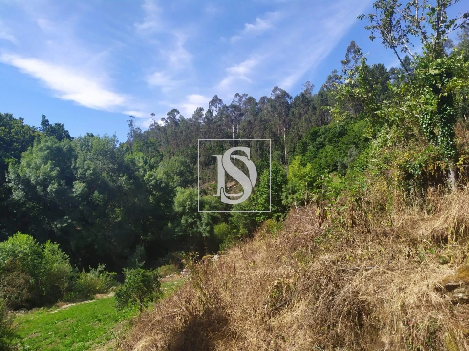 Quinta T4 para Venda em Cabeceiras de Basto Foto 15