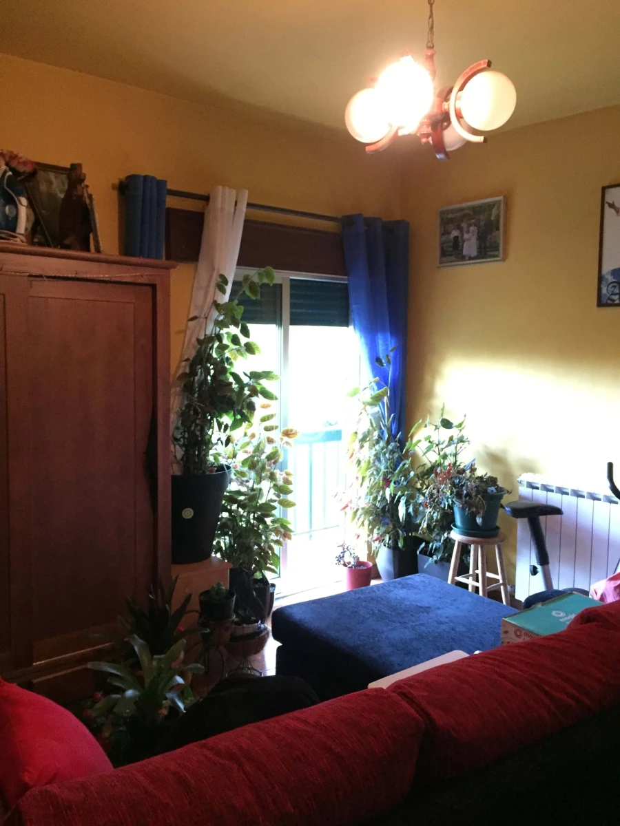 Quinta T4 para Venda em Cabeceiras de Basto Foto 11