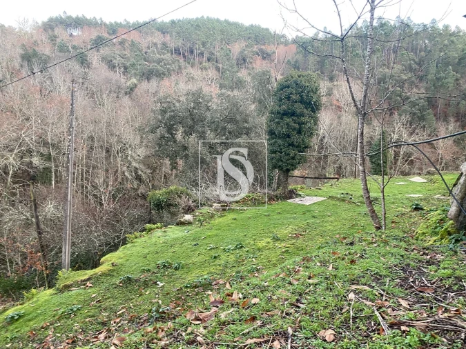 Quinta T4 para Venda em Cabeceiras de Basto Foto 20