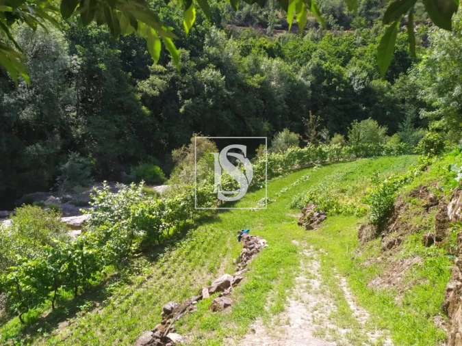 Quinta T4 para Venda em Cabeceiras de Basto Foto 16