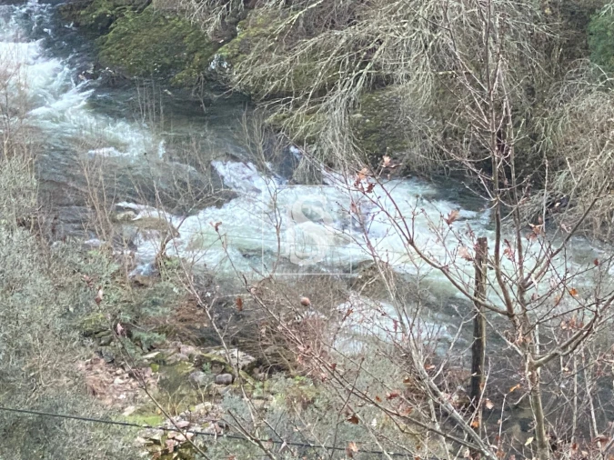 Quinta T4 para Venda em Cabeceiras de Basto Foto 7