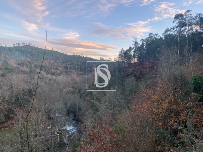 Quinta T4 para Venda em Cabeceiras de Basto Foto 18