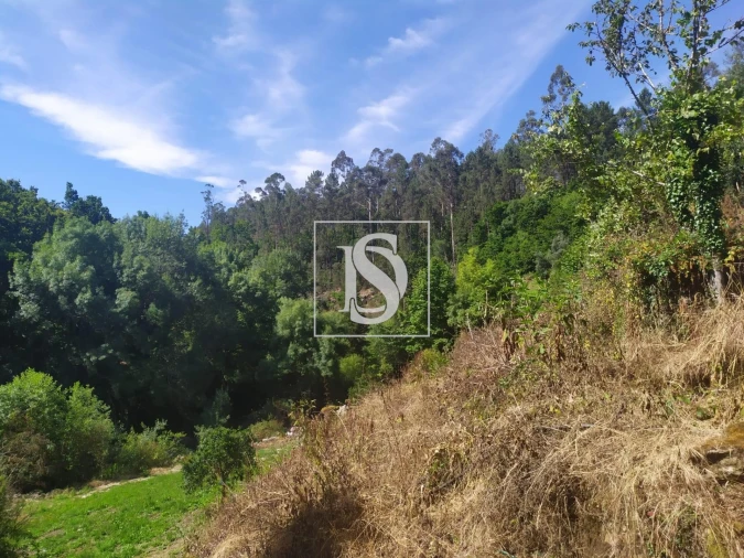 Quinta T4 para Venda em Cabeceiras de Basto Foto 15