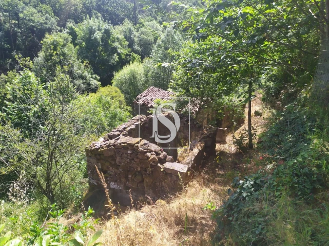 Quinta T4 para Venda em Cabeceiras de Basto Foto 8