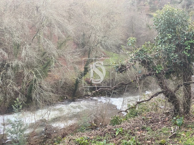 Quinta T4 para Venda em Cabeceiras de Basto Foto 6