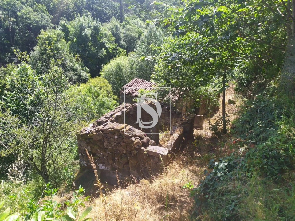 Quinta T4 para Venda em Cabeceiras de Basto Foto 8