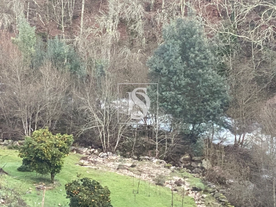 Quinta T4 para Venda em Cabeceiras de Basto Foto 21