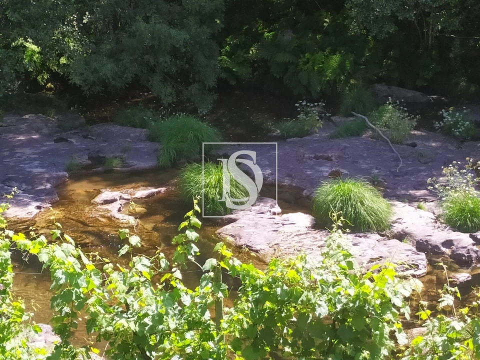 Quinta T4 para Venda em Cabeceiras de Basto Foto 25