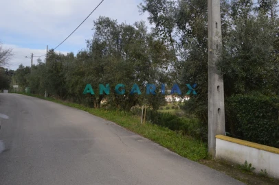 Terreno para Venda em Arrabal