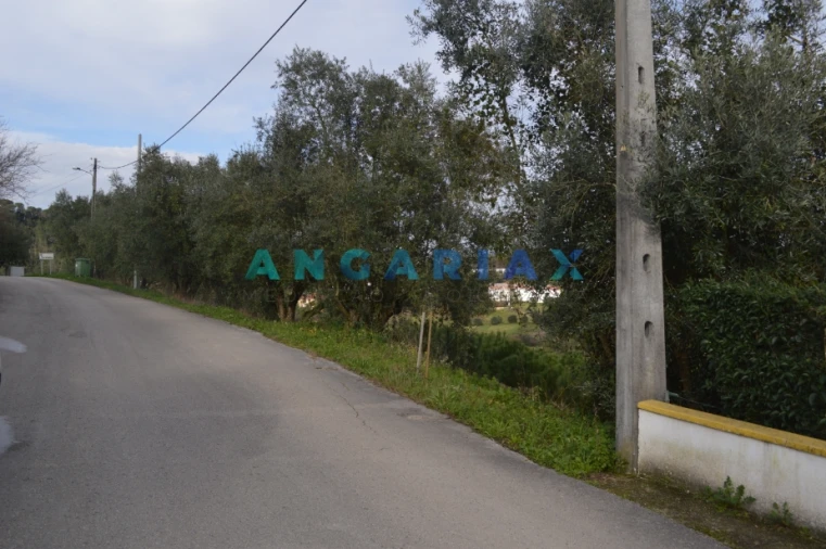 Terreno para Venda em Arrabal Foto 7