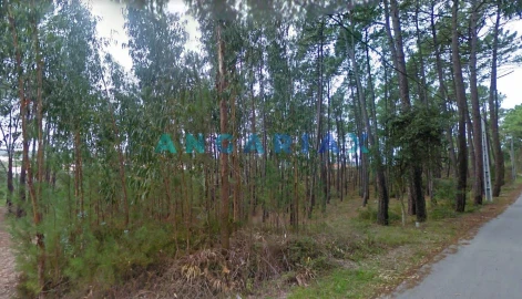 Terreno para Venda em Arrabal