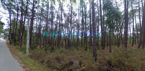 Terreno para Venda em Arrabal