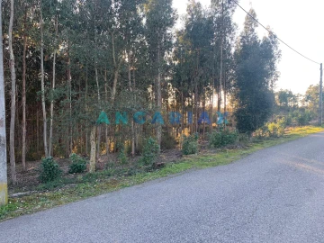 Terreno para Venda em Arrabal