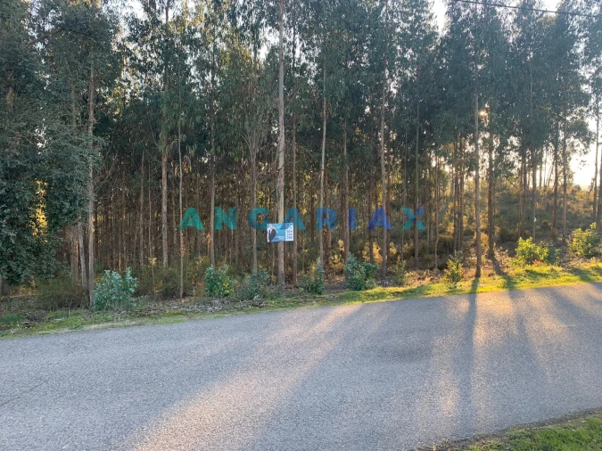 Terreno para Venda em Arrabal
