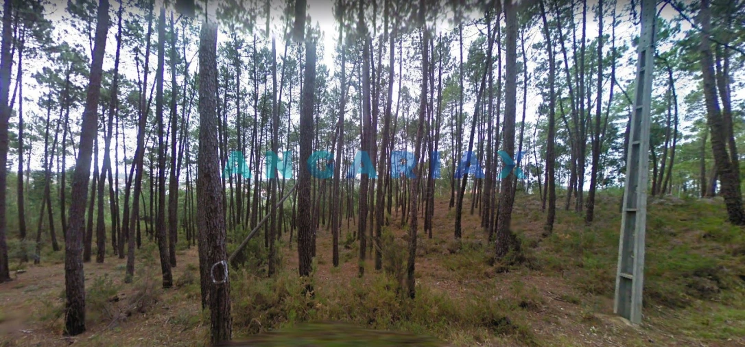Terreno para Venda em Arrabal Foto 7