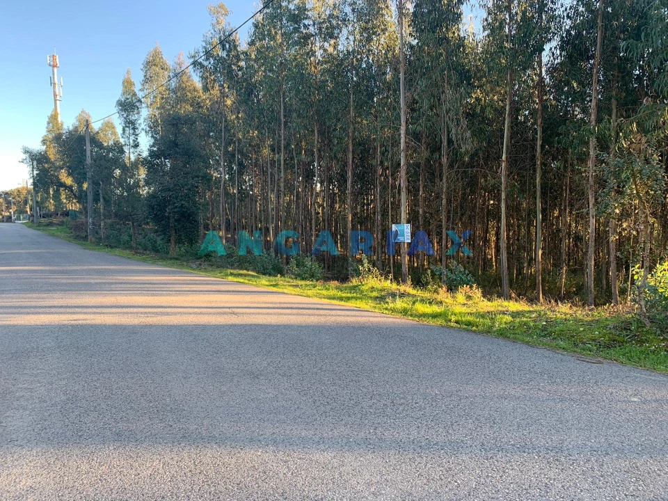 Terreno para Venda em Arrabal Foto 3