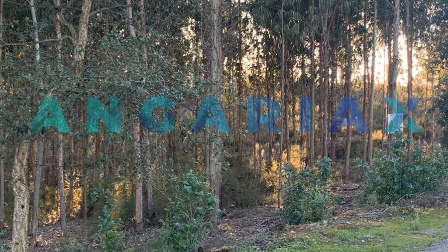 Terreno para Venda em Arrabal