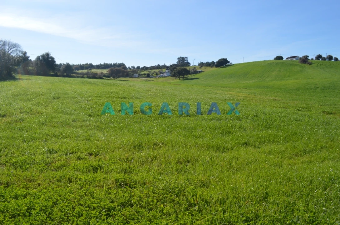 Terreno para Venda em Aveiras de Cima Foto 2