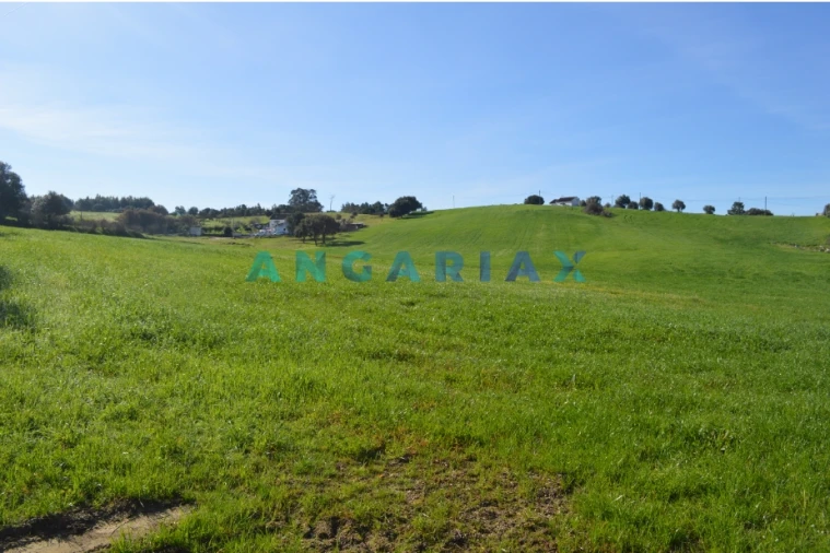 Terreno para Venda em Aveiras de Cima Foto 3
