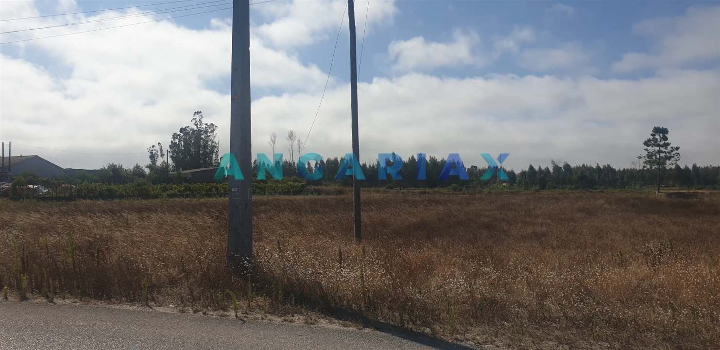 Terreno para Venda em Monte Real e Carvide Foto 10