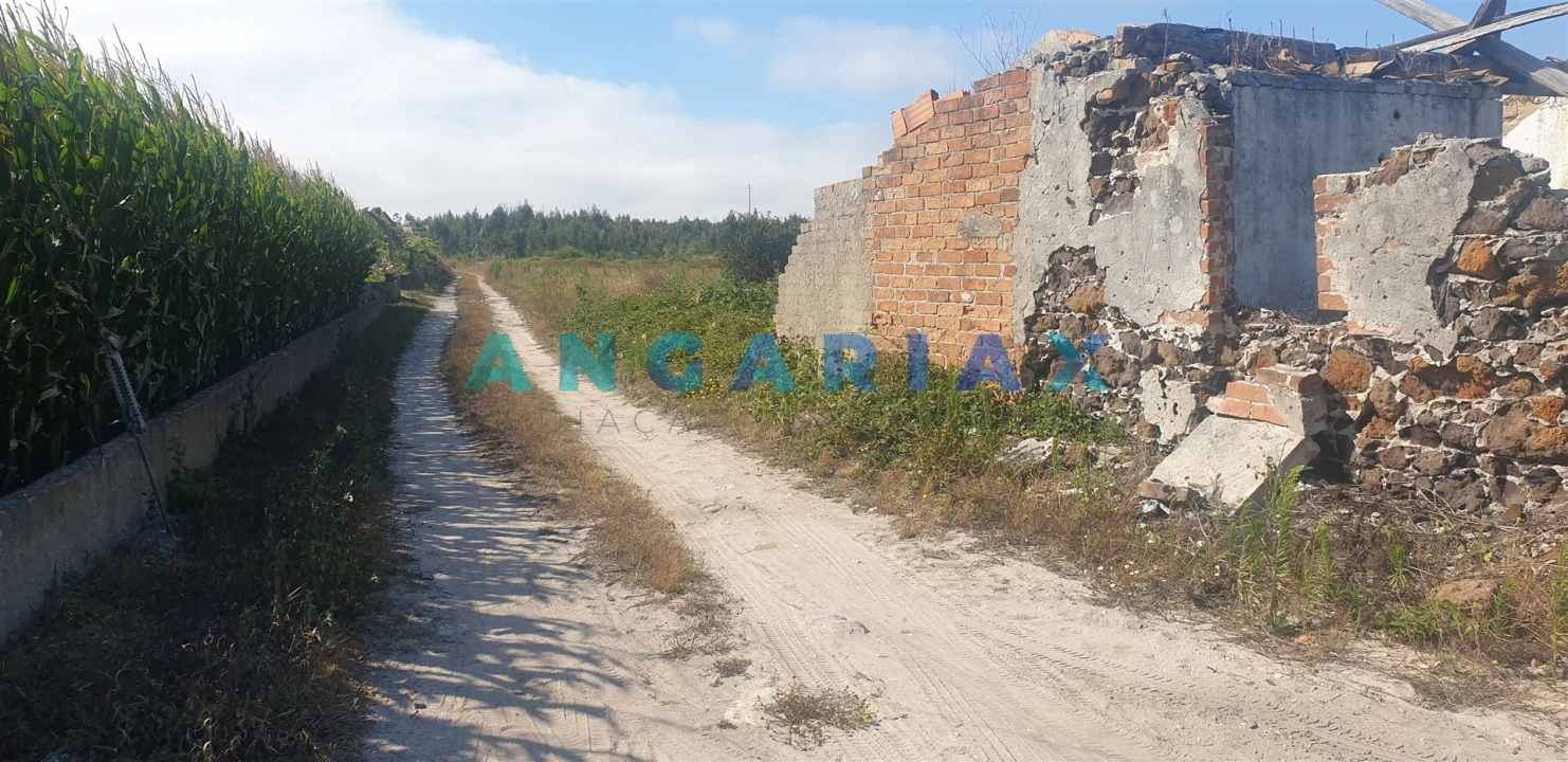 Terreno para Venda em Monte Real e Carvide Foto 11