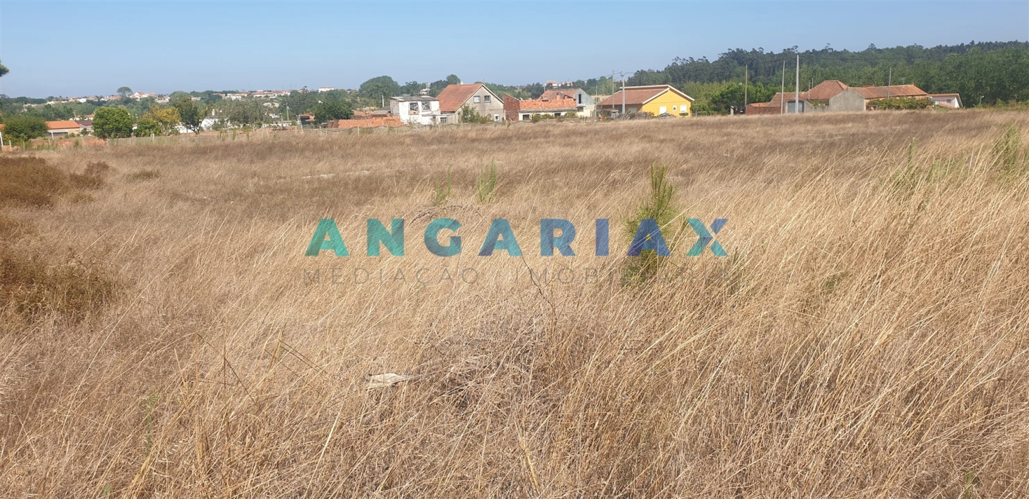 Terreno para Venda em Monte Real e Carvide Foto 2