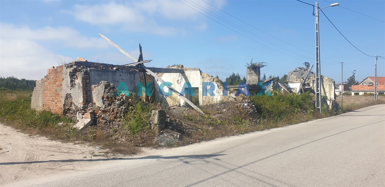 Terreno para Venda em Monte Real e Carvide Foto 6