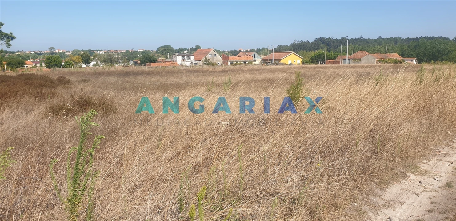 Terreno para Venda em Monte Real e Carvide Foto 1