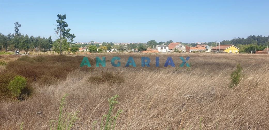Terreno para Venda em Monte Real e Carvide Foto 12