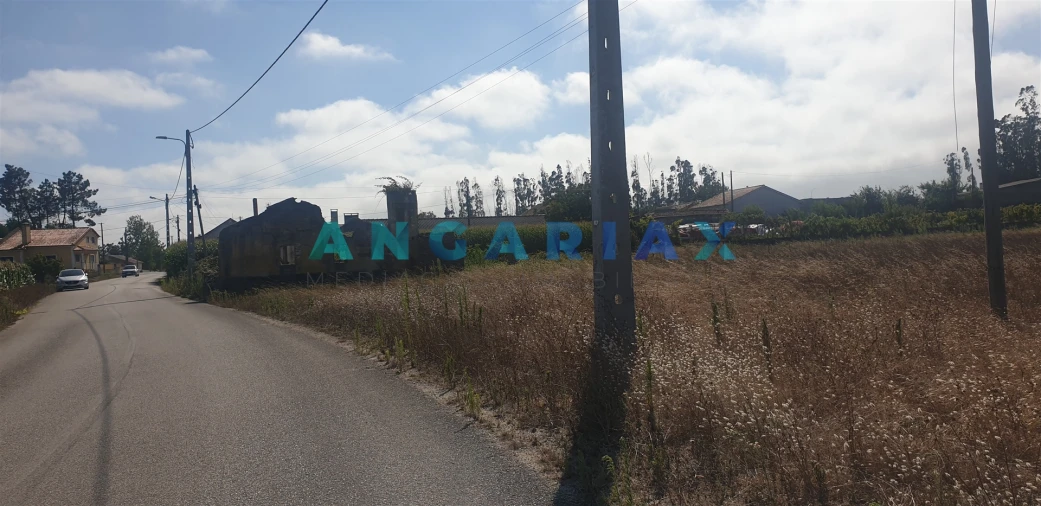 Terreno para Venda em Monte Real e Carvide Foto 8