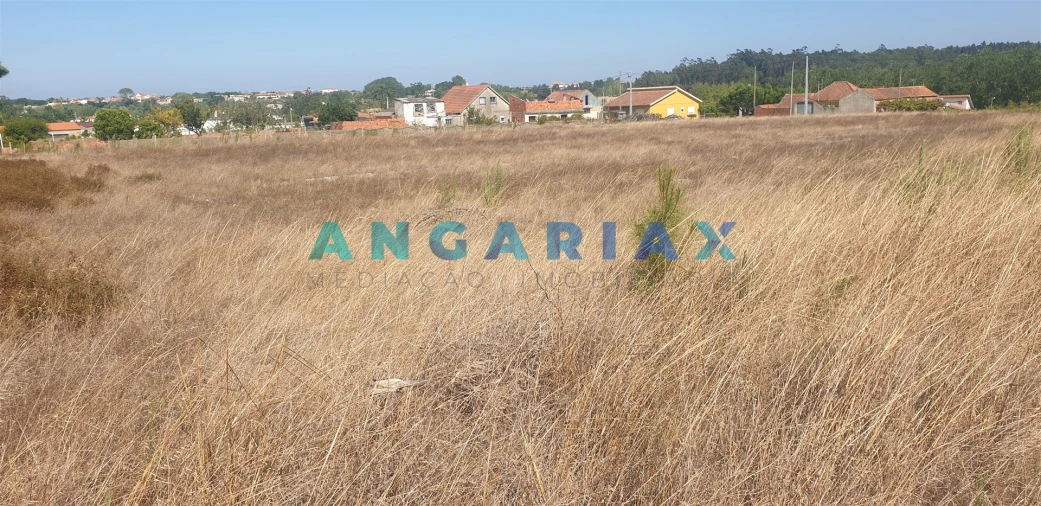 Terreno para Venda em Monte Real e Carvide Foto 2