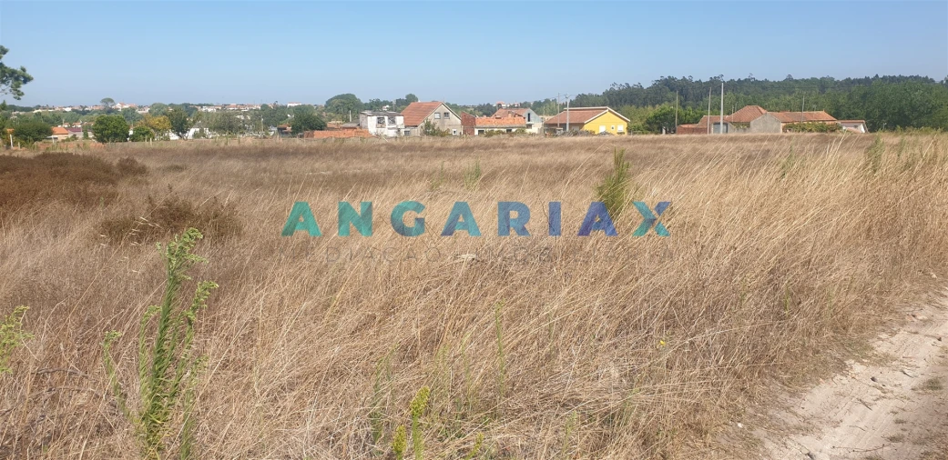 Terreno para Venda em Monte Real e Carvide