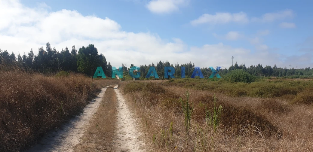 Terreno para Venda em Monte Real e Carvide Foto 5