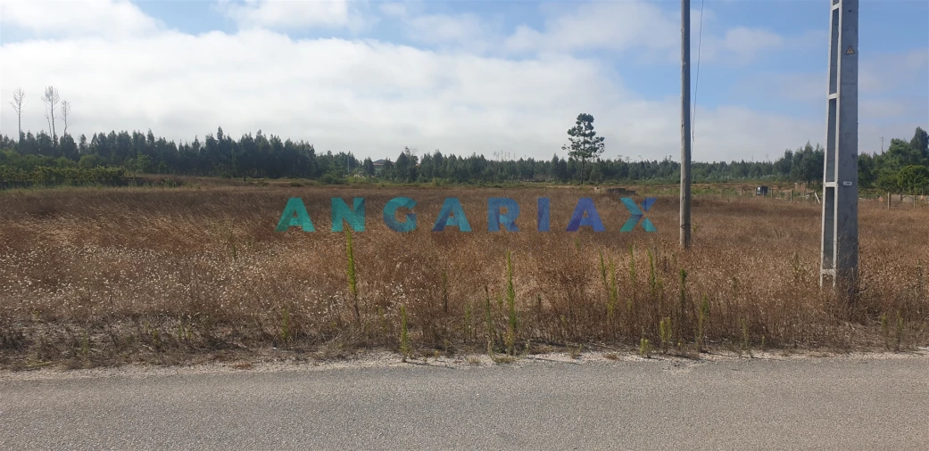 Terreno para Venda em Monte Real e Carvide Foto 7