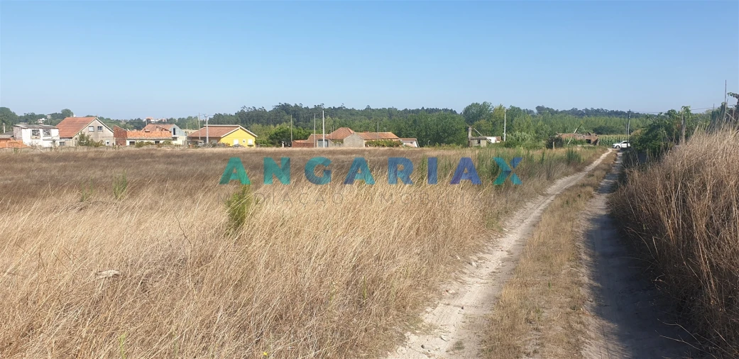 Terreno para Venda em Monte Real e Carvide Foto 4