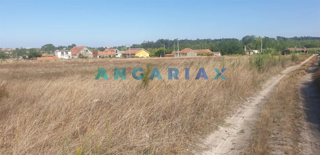 Terreno para Venda em Monte Real e Carvide Foto 3