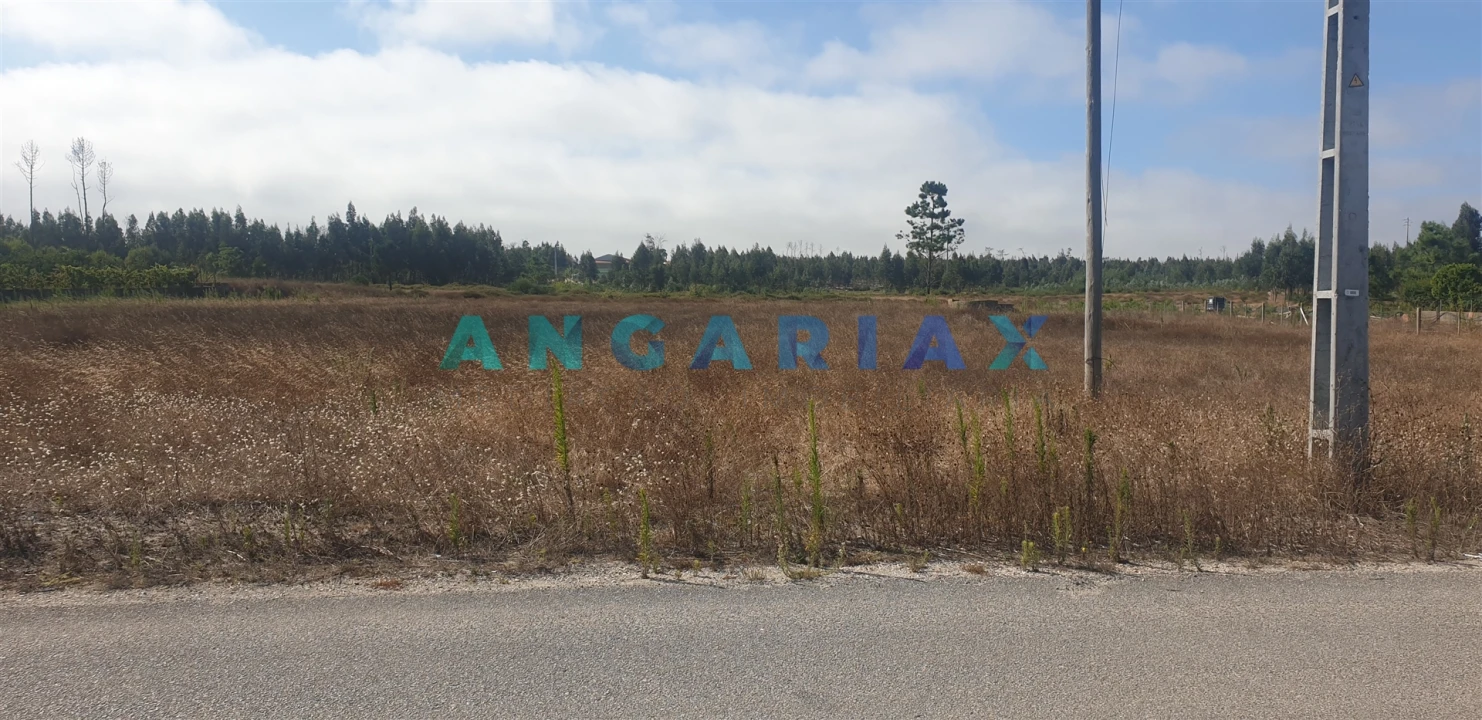 Terreno para Venda em Monte Real e Carvide Foto 7