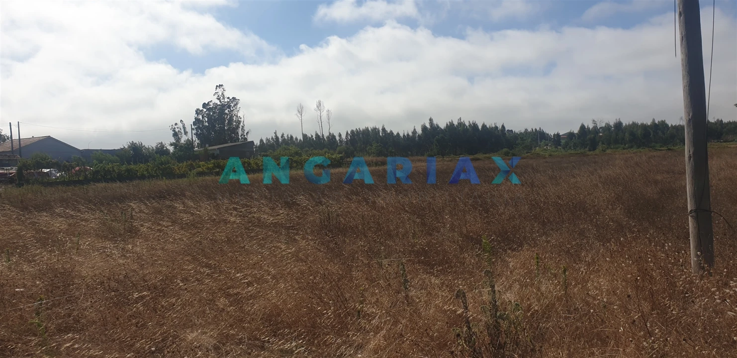 Terreno para Venda em Monte Real e Carvide Foto 9
